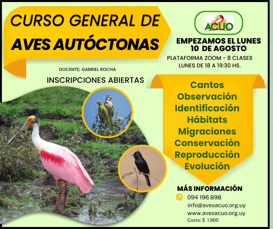 Curso: aves autóctonas y observación de aves