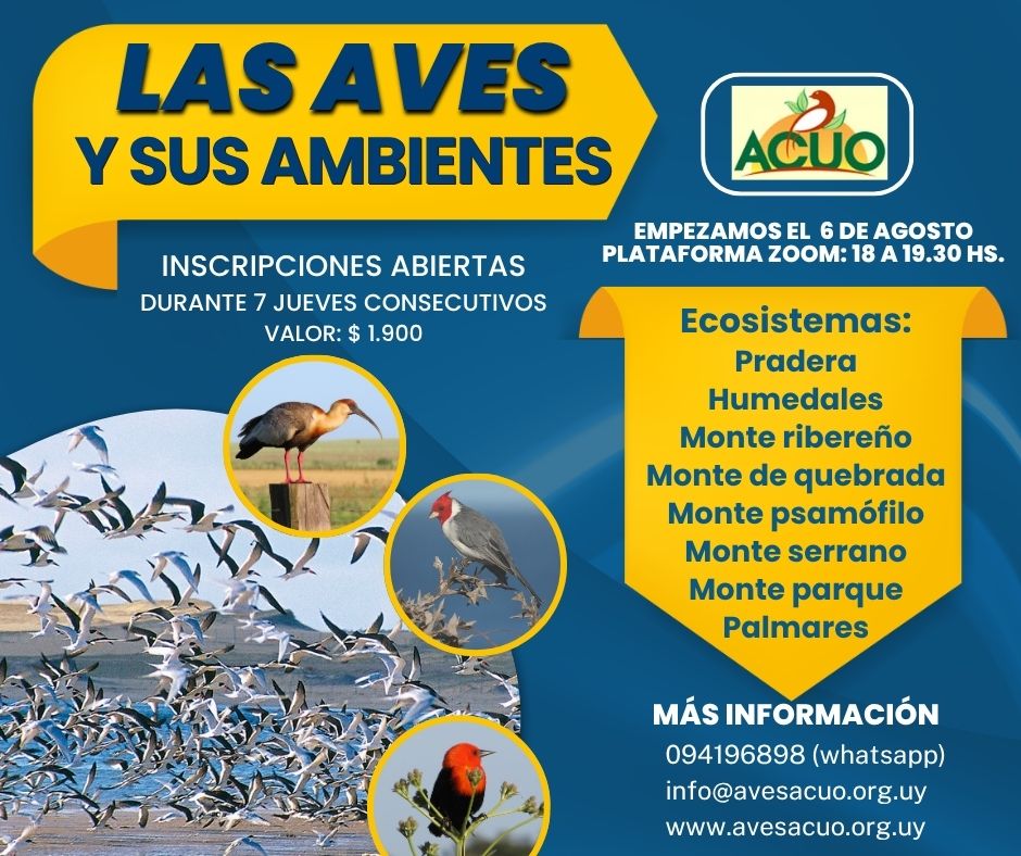 Curso: Las aves y sus ambientes