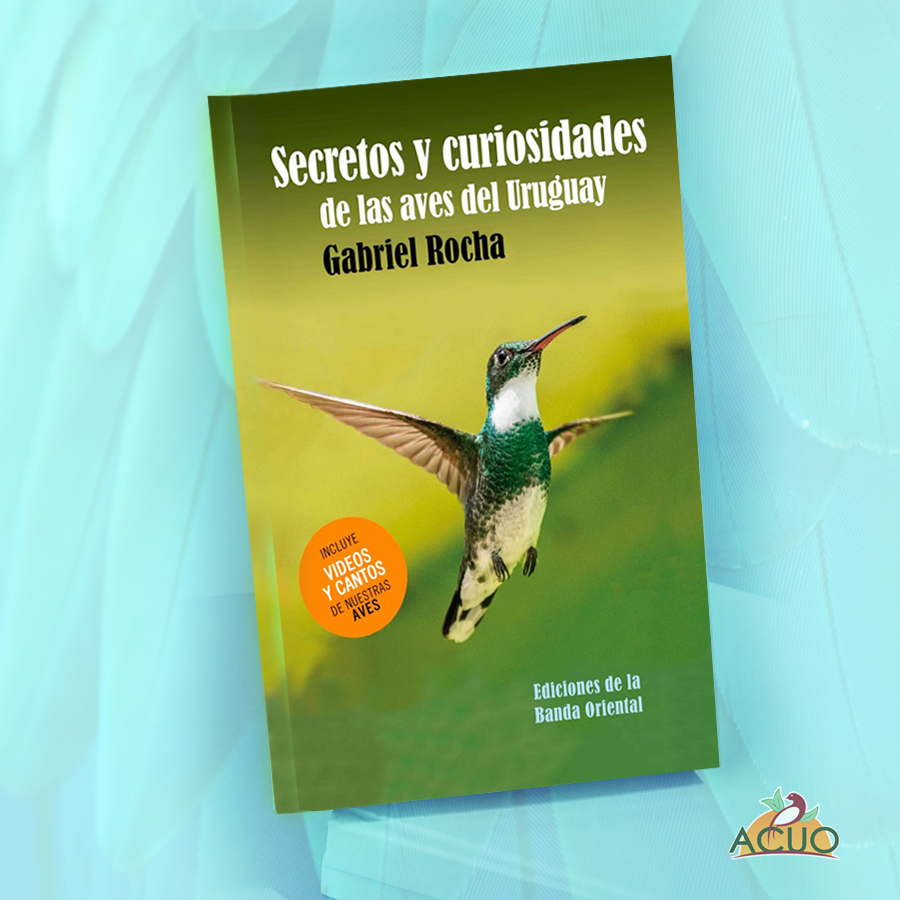 Secretos y curiosidades de las aves del Uruguay