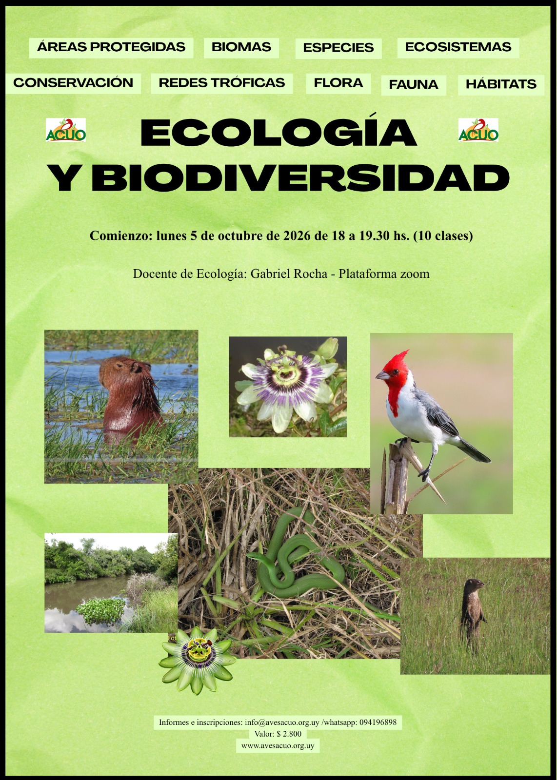 Curso de ecología y biodiversidad